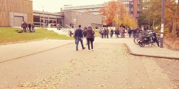 As 5 Melhores Universidades dos EUA para Brasileiros em 2025 As 5 Melhores Universidades dos EUA para Brasileiros em 2025 - Cover Image